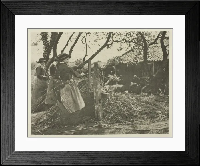 Framed Print : Osier-Peeling (Norfolk), c. 1883 / 87, printed 1888. Creator: Peter Henry Emerson Framed Print : Osier-Peeling (Norfolk), c. 1883 / 87, printed 1888. Creator: Peter Henry Emerson
