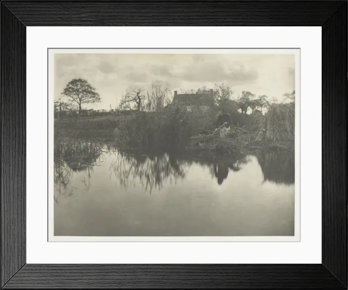 Framed Print : Quanting the Gladdon, 1886. Creator: Peter Henry Emerson Framed Print : Quanting the Gladdon, 1886. Creator: Peter Henry Emerson