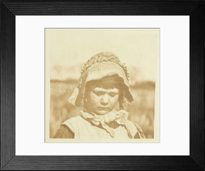 Framed Print : A Norfolk Flower, 1883 / 87, printed 1888. Creator: Peter Henry Emerson Framed Print : A Norfolk Flower, 1883 / 87, printed 1888. Creator: Peter Henry Emerson