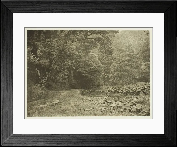 Framed Print : A Quiet Nook in Beresford Dale, 1880s. Creator: Peter Henry Emerson Framed Print : A Quiet Nook in Beresford Dale, 1880s. Creator: Peter Henry Emerson