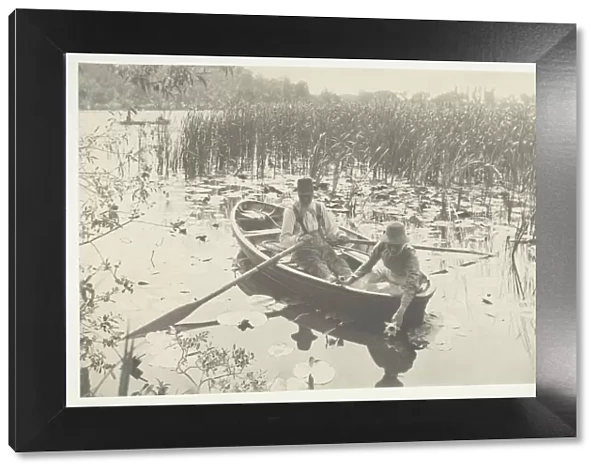 Gathering Water-Lilies, 1886, printed 1886. Creator: Peter Henry Emerson
