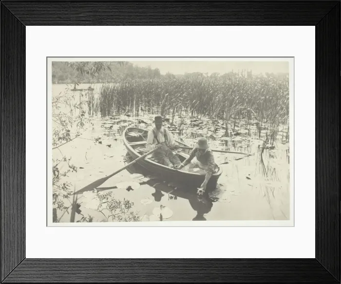 Framed Print : Gathering Water-Lilies, 1886, printed 1886. Creator: Peter Henry Emerson Framed Print : Gathering Water-Lilies, 1886, printed 1886. Creator: Peter Henry Emerson