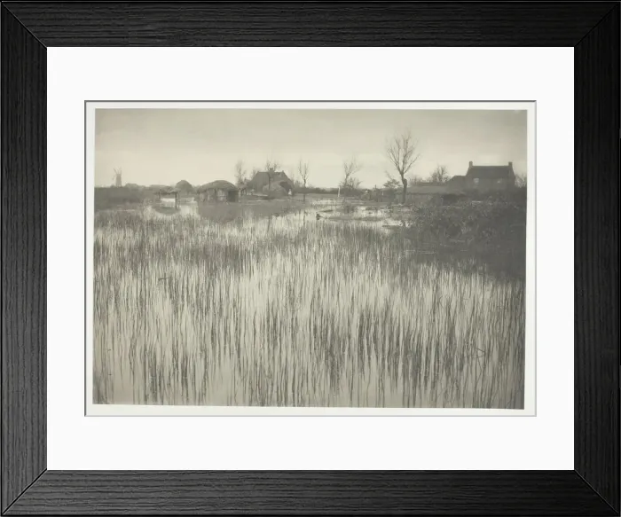 Framed Print : A Rushy Shore, 1886. Creator: Peter Henry Emerson Framed Print : A Rushy Shore, 1886. Creator: Peter Henry Emerson