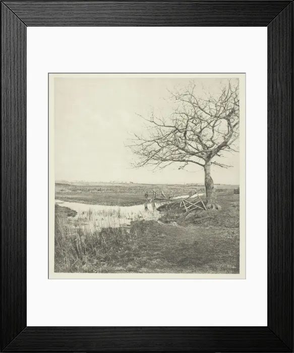 Framed Print : Leafless March (Suffolk), 1878 / 87, printed 1888. Creator: Peter Henry Emerson Framed Print : Leafless March (Suffolk), 1878 / 87, printed 1888. Creator: Peter Henry Emerson