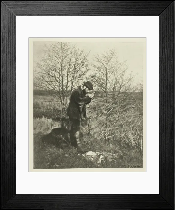Framed Print : At the Covert Corner (Norfolk), c. 1883 / 87, printed 1888. Creator: Peter Henry Emerson Framed Print : At the Covert Corner (Norfolk), c. 1883 / 87, printed 1888. Creator: Peter Henry Emerson