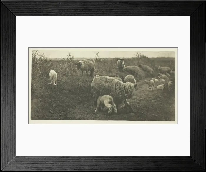 Framed Print : A March Pastoral (Suffolk), c. 1883 / 87, printed 1888. Creator: Peter Henry Emerson Framed Print : A March Pastoral (Suffolk), c. 1883 / 87, printed 1888. Creator: Peter Henry Emerson