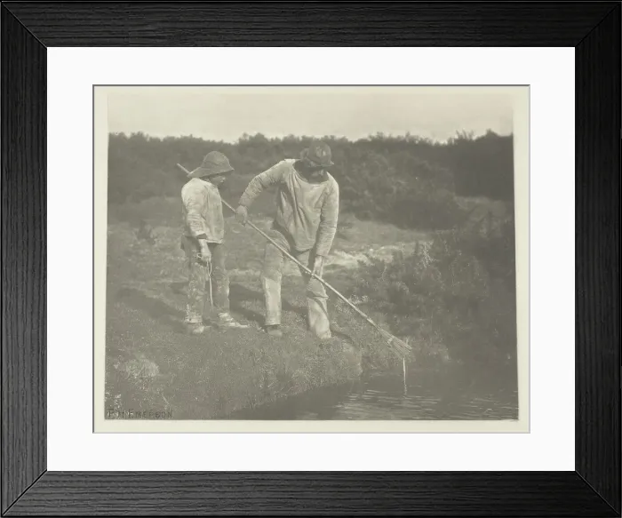 Framed Print : Eel-Picking in Suffolk Waters, c. 1883 / 87, printed 1888. Creator: Peter Henry Emerson Framed Print : Eel-Picking in Suffolk Waters, c. 1883 / 87, printed 1888. Creator: Peter Henry Emerson
