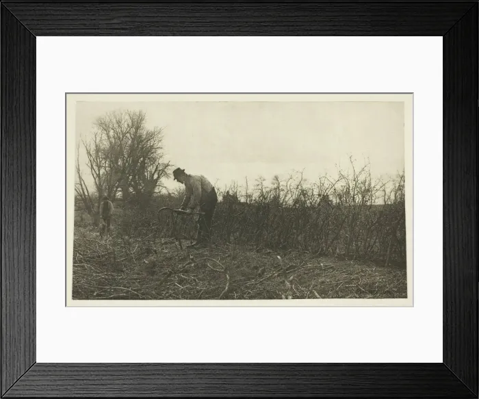 Framed Print : Fencing in Suffolk, c. 1883 / 87, printed 1888. Creator: Peter Henry Emerson Framed Print : Fencing in Suffolk, c. 1883 / 87, printed 1888. Creator: Peter Henry Emerson