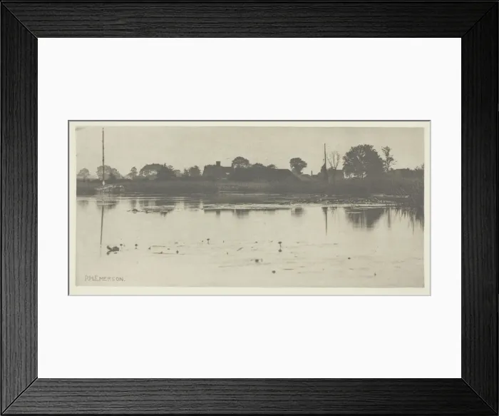 Framed Print : The Fringe of the Mere, c. 1883 / 87, printed 1888. Creator: Peter Henry Emerson Framed Print : The Fringe of the Mere, c. 1883 / 87, printed 1888. Creator: Peter Henry Emerson