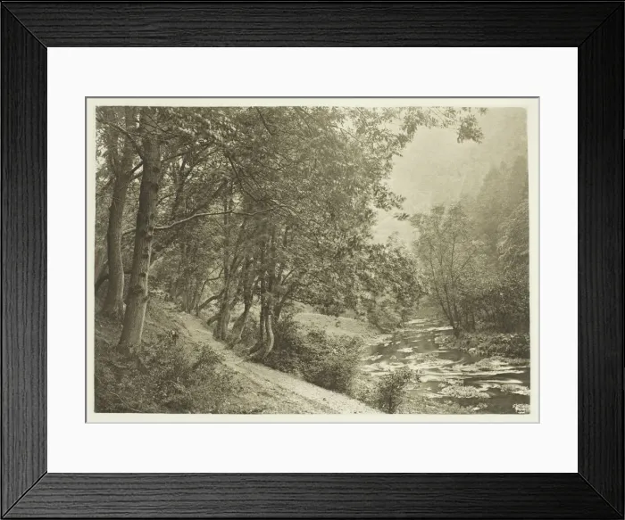 Framed Print : The Path Over The First Brae, Dove Dale, 1880s. Creator: Peter Henry Emerson Framed Print : The Path Over The First Brae, Dove Dale, 1880s. Creator: Peter Henry Emerson