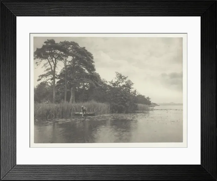 Framed Print : The Haunt of the Pike, 1886. Creator: Peter Henry Emerson Framed Print : The Haunt of the Pike, 1886. Creator: Peter Henry Emerson