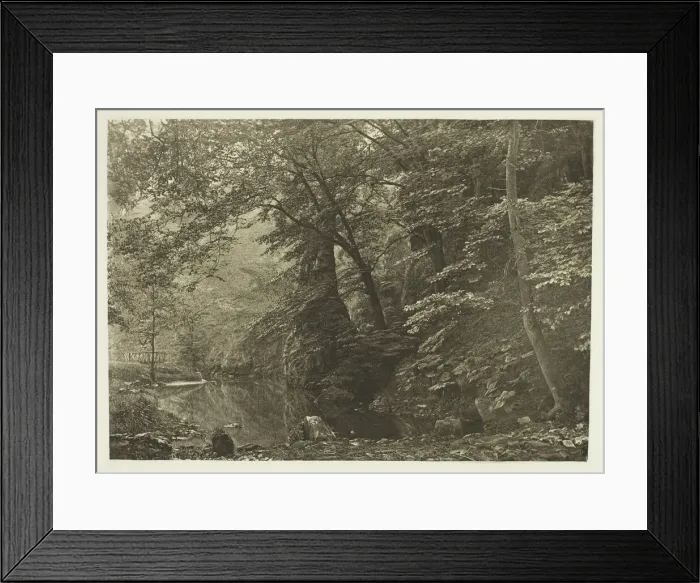 Framed Print : Pike Pool (from below), 1880s. Creator: Peter Henry Emerson