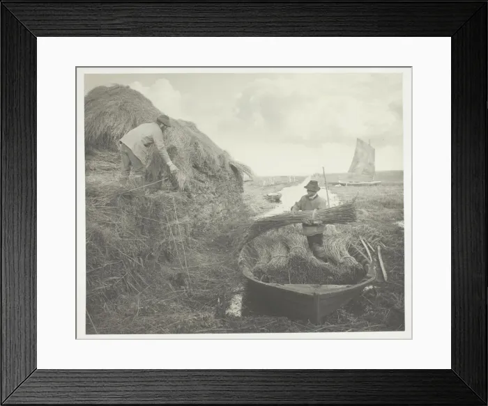 Framed Print : Ricking the Reed, 1886. Creator: Peter Henry Emerson Framed Print : Ricking the Reed, 1886. Creator: Peter Henry Emerson