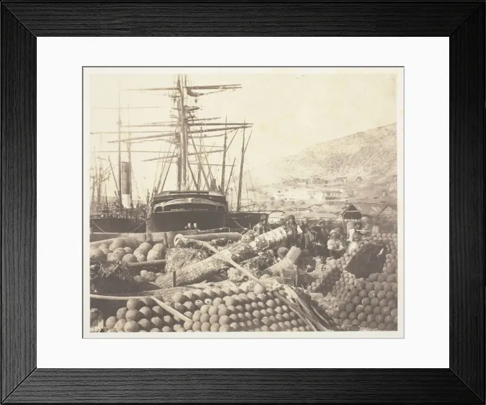 Framed Print : The Ordnance Wharf, Balaklava, 1855. Creator: Roger Fenton Framed Print : The Ordnance Wharf, Balaklava, 1855. Creator: Roger Fenton