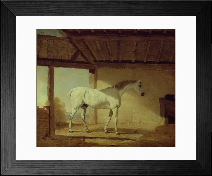 Framed Print : The Earl of Coventrys Horse, 1805. Creator: Benjamin Marshall Framed Print : The Earl of Coventrys Horse, 1805. Creator: Benjamin Marshall