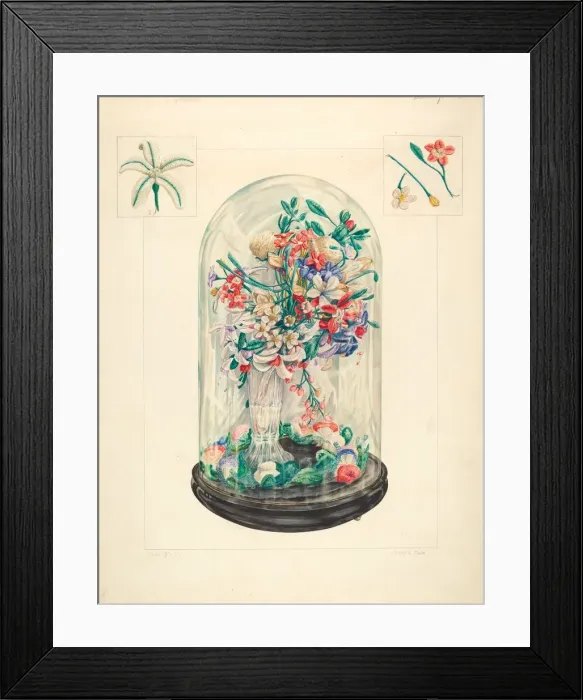 Framed Print : Wool Flowers Under Glass, 1935 / 1942. Creator: Frank J Mace Framed Print : Wool Flowers Under Glass, 1935 / 1942. Creator: Frank J Mace