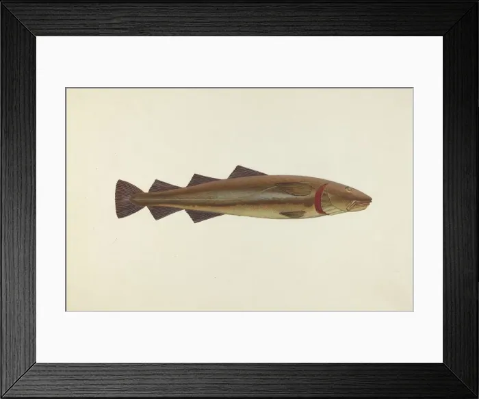 Framed Print : Sacred Cod, 1940. Creator: John W Kelleher Framed Print : Sacred Cod, 1940. Creator: John W Kelleher