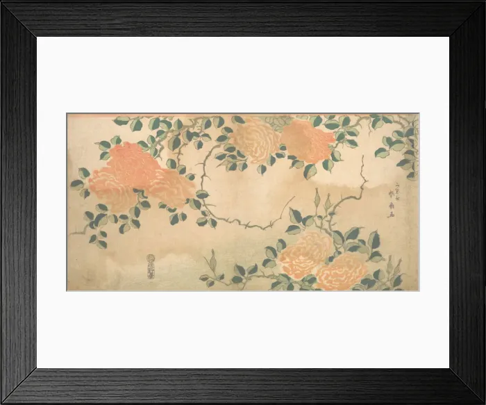 Framed Print : Roses, ca. 1810. Creator: Kashosai Shunsen Framed Print : Roses, ca. 1810. Creator: Kashosai Shunsen