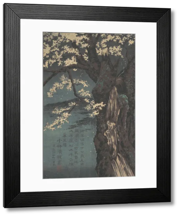 Framed Print : Cherry Tree, dated 1874. Creator: Kobayashi Kiyochika