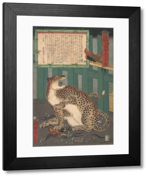 Framed Print : Never Seen Before: True Picture of a Live Wild Tiger... sixth month 1860. Creator: Kawanabe Kyosai Framed Print : Never Seen Before: True Picture of a Live Wild Tiger... sixth month 1860. Creator: Kawanabe Kyosai