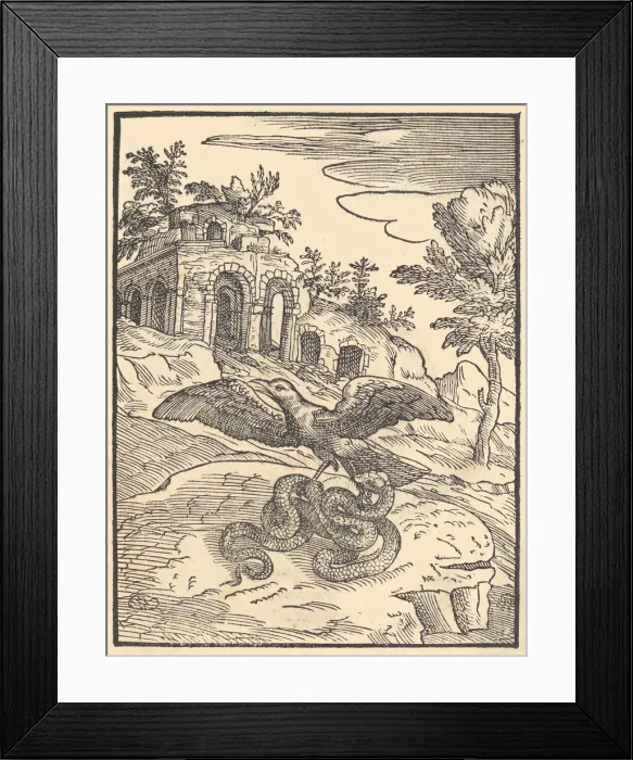 Framed Print : Bird and snake, 1570. Creator: Giovanni Maria Verdizotti Framed Print : Bird and snake, 1570. Creator: Giovanni Maria Verdizotti