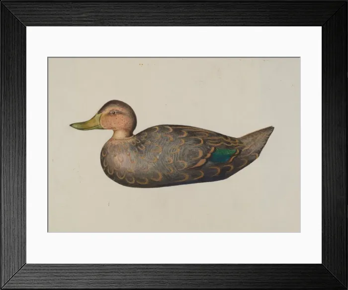 Framed Print : Decoy Duck, 1935 / 1942. Creator: Harriette Gale Framed Print : Decoy Duck, 1935 / 1942. Creator: Harriette Gale