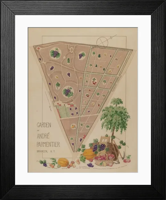 Framed Print : Andre Parmentier Garden, c. 1936. Creator: Helen Miller Framed Print : Andre Parmentier Garden, c. 1936. Creator: Helen Miller