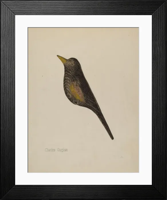 Framed Print : Decoy, c. 1939. Creator: Charles Garjian Framed Print : Decoy, c. 1939. Creator: Charles Garjian