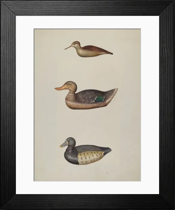 Framed Print : Three Decoy Ducks, c. 1937. Creator: Harriette Gale Framed Print : Three Decoy Ducks, c. 1937. Creator: Harriette Gale