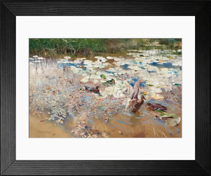 Framed Print : Wild Ducks, 1887. Creator: Liljefors, Bruno Andreas (1860-1939)