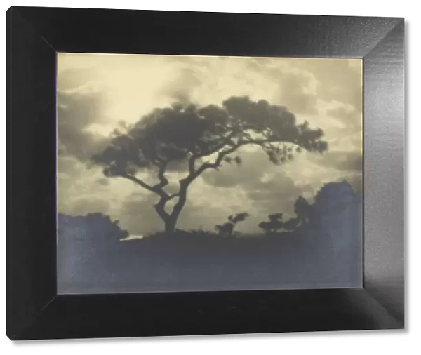 Untitled (Cloudy Landscape with Tree), 1850-1900. Creator: Unknown