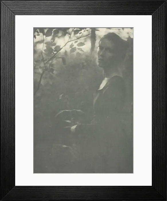 Framed Print : Edge of Woods, c. 1899. Creator: Clarence H White Framed Print : Edge of Woods, c. 1899. Creator: Clarence H White