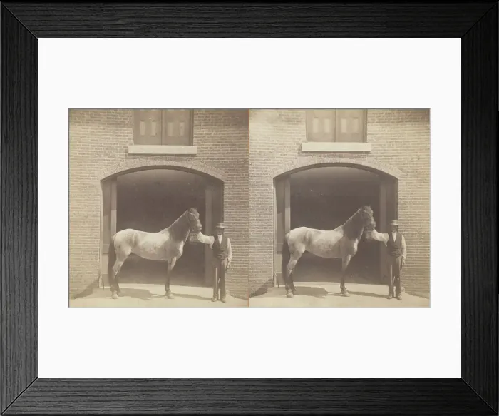 Framed Print : Untitled, [horse and groom], 1875  /  99. Creator: Unknown