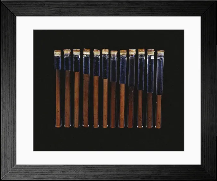 Framed Print : Chinese twelve-tone pitch pipes (from the tomb of Xin Zhui in Mawangdui), ca 160 BC Framed Print : Chinese twelve-tone pitch pipes (from the tomb of Xin Zhui in Mawangdui), ca 160 BC