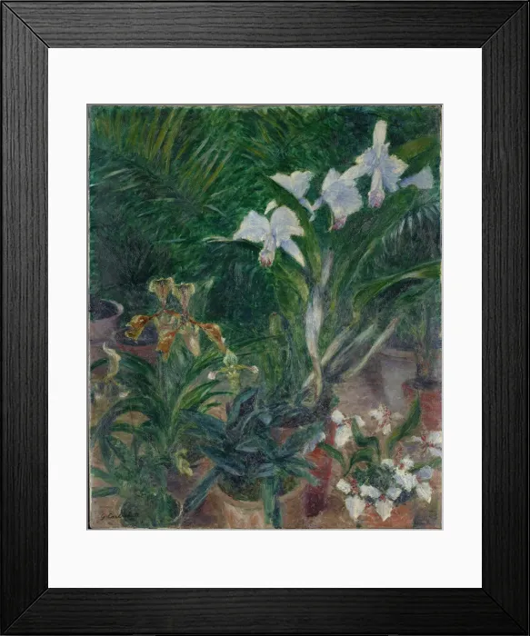 Framed Print : Orchidees dans la serre du Petit Gennevilliers, 1893 Framed Print : Orchidees dans la serre du Petit Gennevilliers, 1893