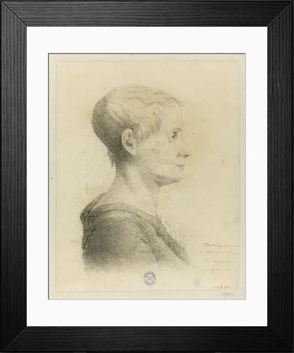 Framed Print : Portrait of Anne-Josephe Theroigne de Mericourt (1762-1817), 1816 Framed Print : Portrait of Anne-Josephe Theroigne de Mericourt (1762-1817), 1816