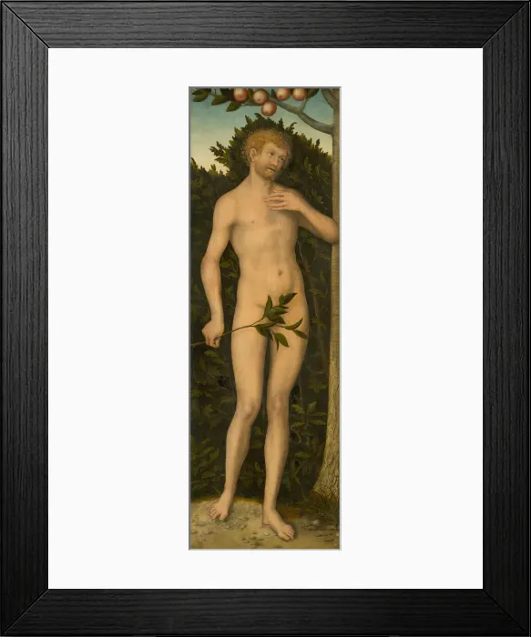 Framed Print : Adam, 1533 / 37. Creator: Lucas Cranach the Elder Framed Print : Adam, 1533 / 37. Creator: Lucas Cranach the Elder