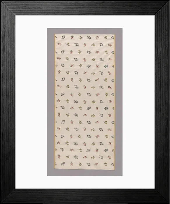 Framed Print : Panel (Dress Fabric), China, Qing dynasty (1644-1911), 1776 / 1800. Creator: Unknown Framed Print : Panel (Dress Fabric), China, Qing dynasty (1644-1911), 1776 / 1800. Creator: Unknown
