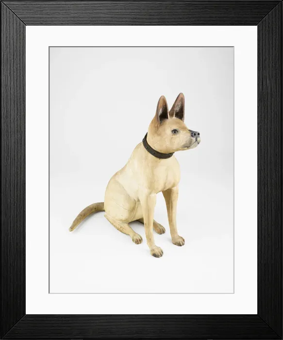 Framed Print : Bull Terrier, 1875 / 1900. Creator: Unknown Framed Print : Bull Terrier, 1875 / 1900. Creator: Unknown