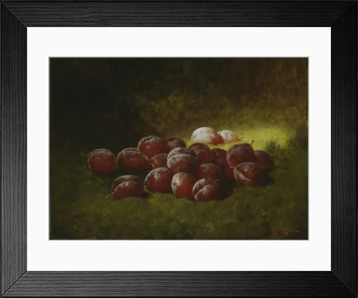 Framed Print : Purple Plums, 1895. Creator: Carducius Plantagenet Ream Framed Print : Purple Plums, 1895. Creator: Carducius Plantagenet Ream