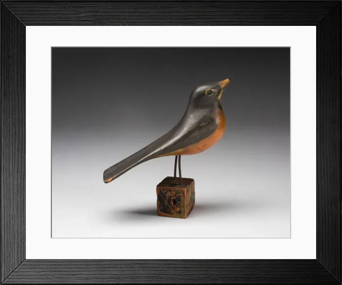 Framed Print : Robin, 1860  /  1900. Creator: Unknown