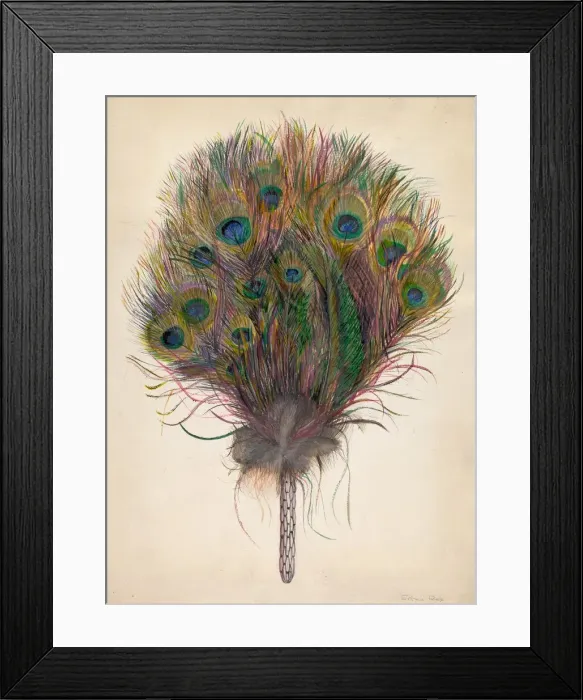 Framed Print : Peacock Feather Fan, c. 1938. Creator: Edna C. Rex