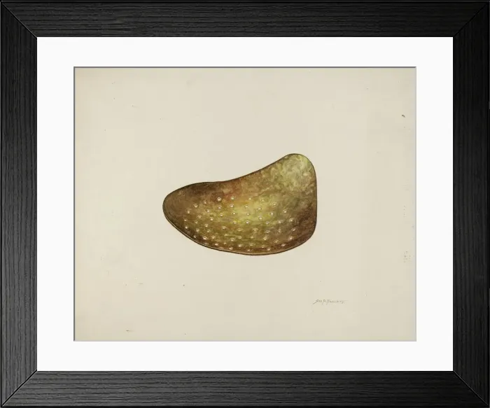 Framed Print : Brass Cream Skimmer, c. 1940. Creator: Sydney Roberts Framed Print : Brass Cream Skimmer, c. 1940. Creator: Sydney Roberts