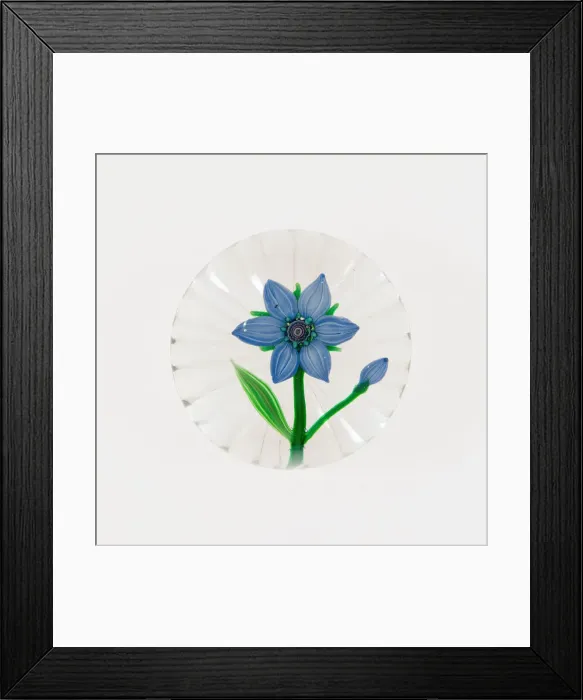 Framed Print : Paperweight, Clichy, 19th century. Creator: Clichy Glassworks Framed Print : Paperweight, Clichy, 19th century. Creator: Clichy Glassworks