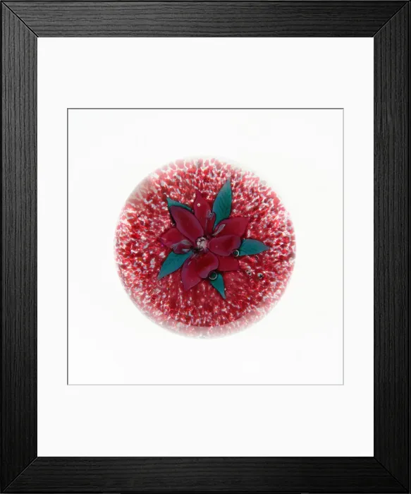 Framed Print : Paperweight, Sandwich, 1870. Creator: Boston and Sandwich Glass Company Framed Print : Paperweight, Sandwich, 1870. Creator: Boston and Sandwich Glass Company