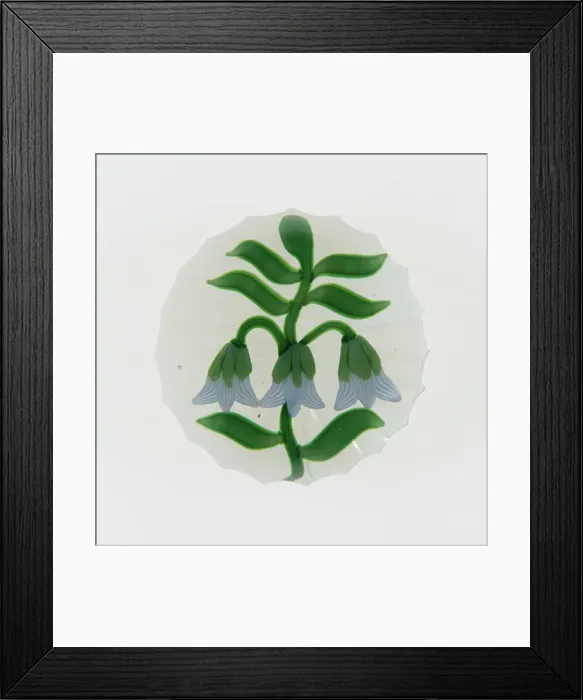 Framed Print : Paperweight, England, c. 1845-60. Creator: Unknown Framed Print : Paperweight, England, c. 1845-60. Creator: Unknown