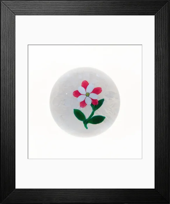 Framed Print : Paperweight, France, Late 19th century. Creator: Unknown Framed Print : Paperweight, France, Late 19th century. Creator: Unknown