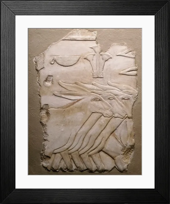 Framed Print : Fragment of a Tomb Wall Depicting Donkeys, Egypt, Old Kingdom Framed Print : Fragment of a Tomb Wall Depicting Donkeys, Egypt, Old Kingdom
