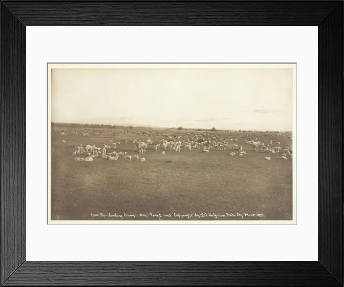 Framed Print : The Lambing Camp, 1894. Creator: Laton Alton Huffman Framed Print : The Lambing Camp, 1894. Creator: Laton Alton Huffman