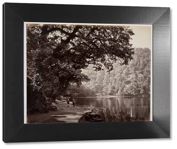 Untitled [trees near water, India], 1870s. Creator: Samuel Bourne